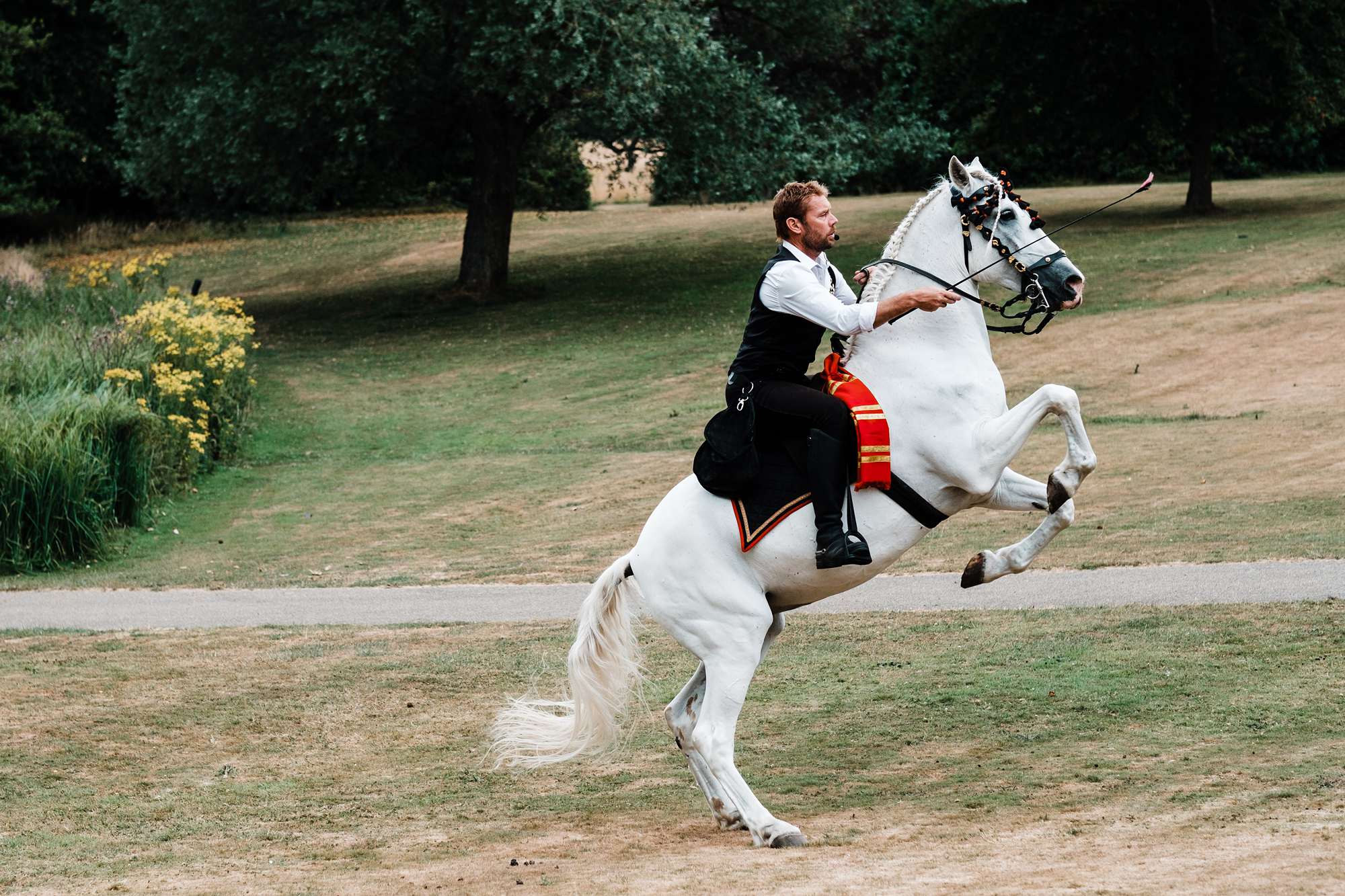 Ashdown Park Hotel wedding